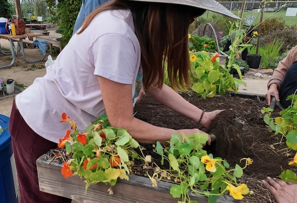 Amy and crew gardening