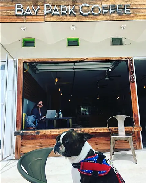 Bay Park Coffee pooch