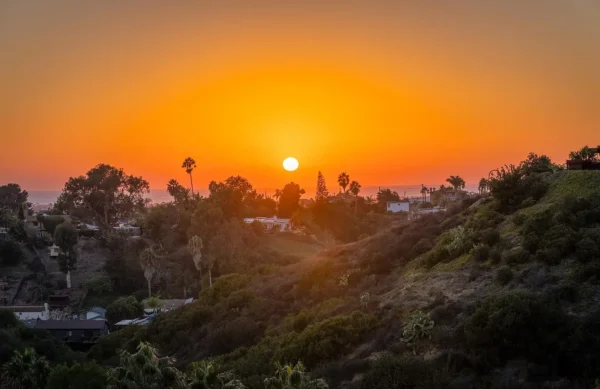 Bay park sunset