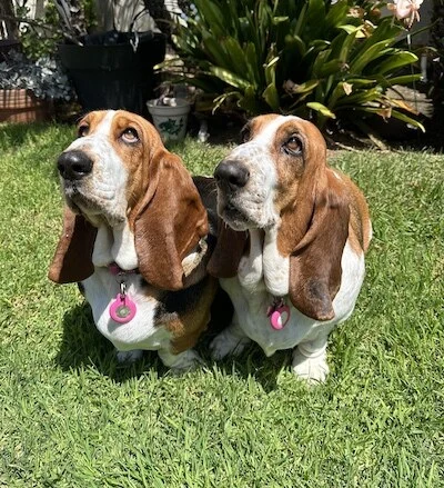 Farrah And Morgan