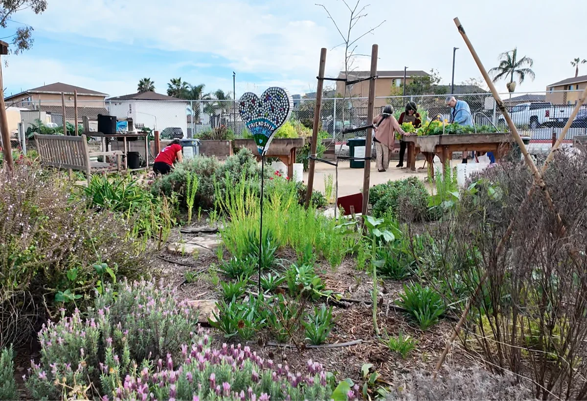 Garden and gardeners