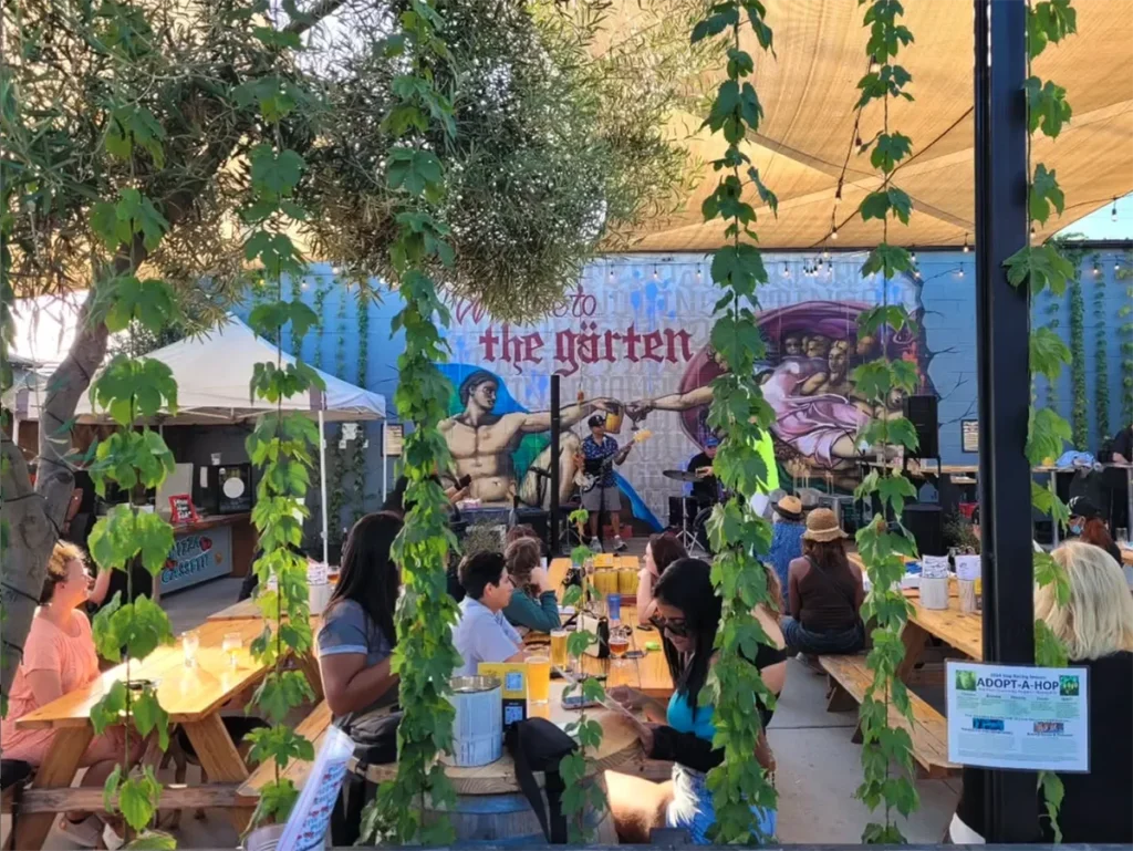 Hop Garlands At The Garten