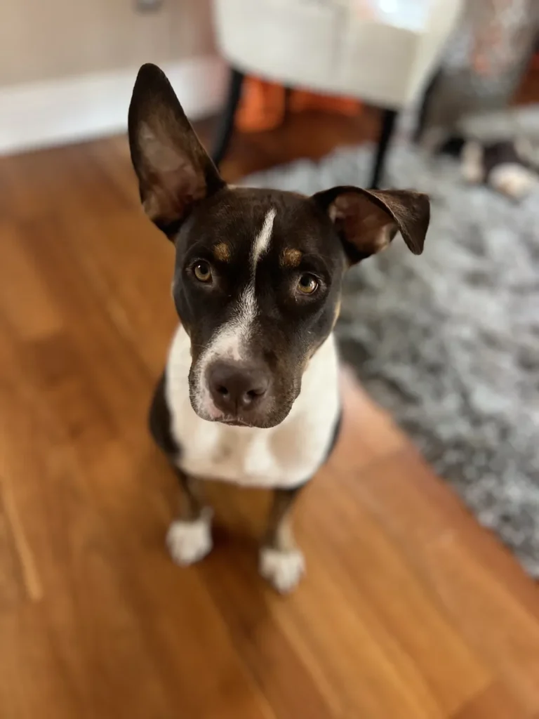 Ruthie Ears