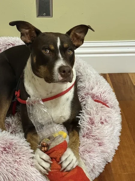 Ruthie in her bed
