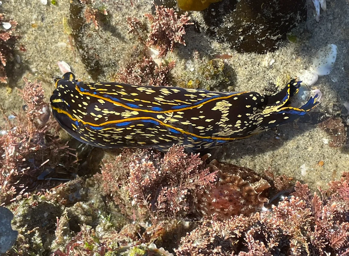 Screenshot 2024 11 17 at 8.58.10 pm