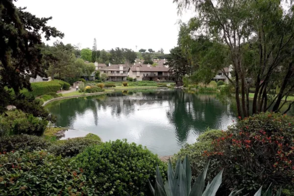 Stonehaven pond