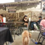 Bulls smokin dog patio