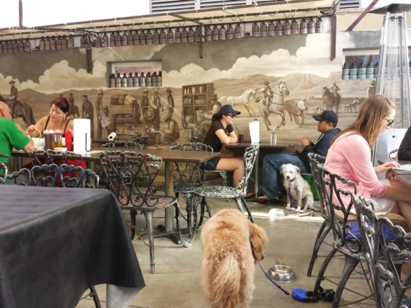 Bulls smokin dog patio