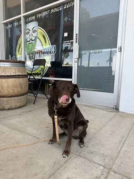 Hopnonymous doggie