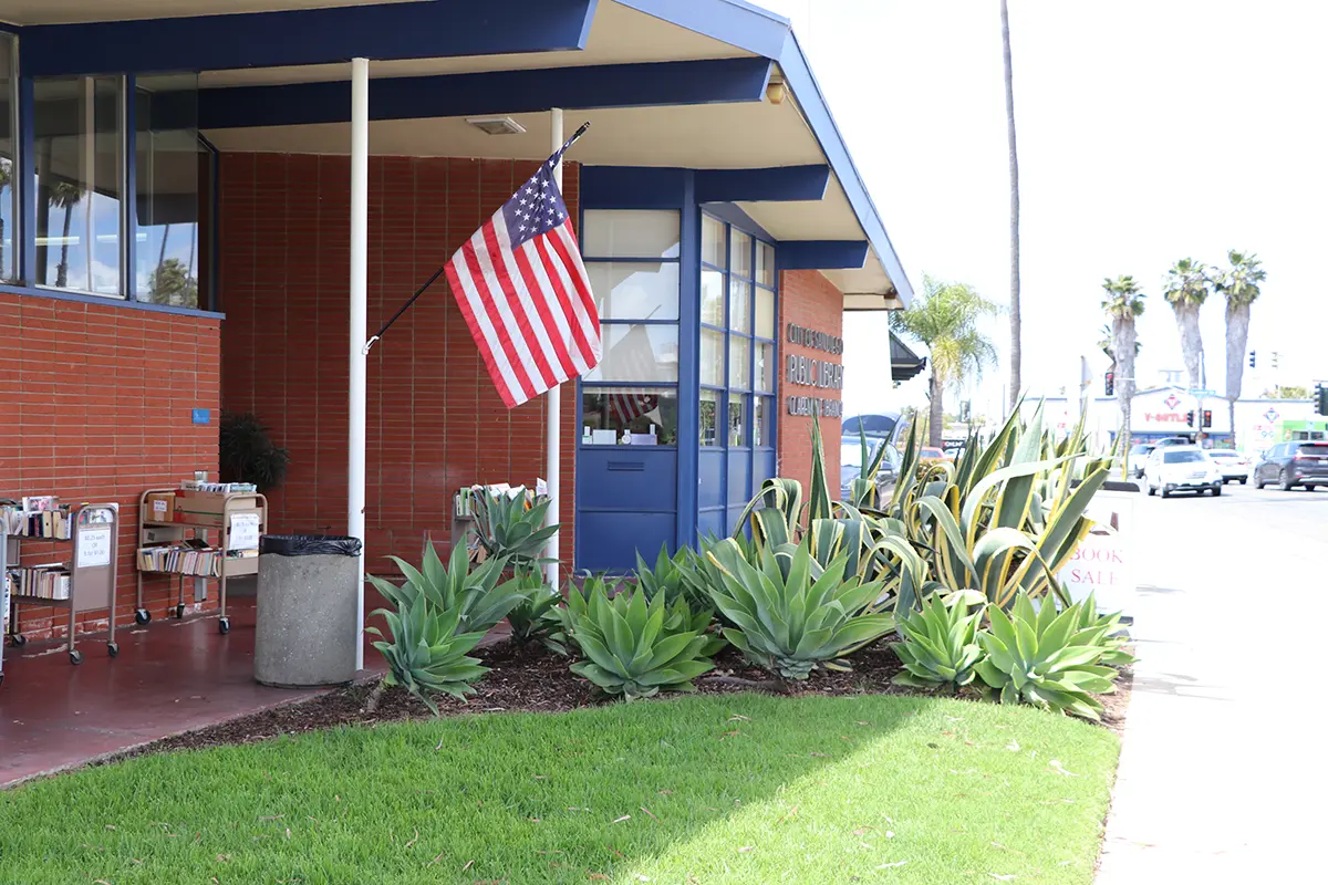 Library and flag
