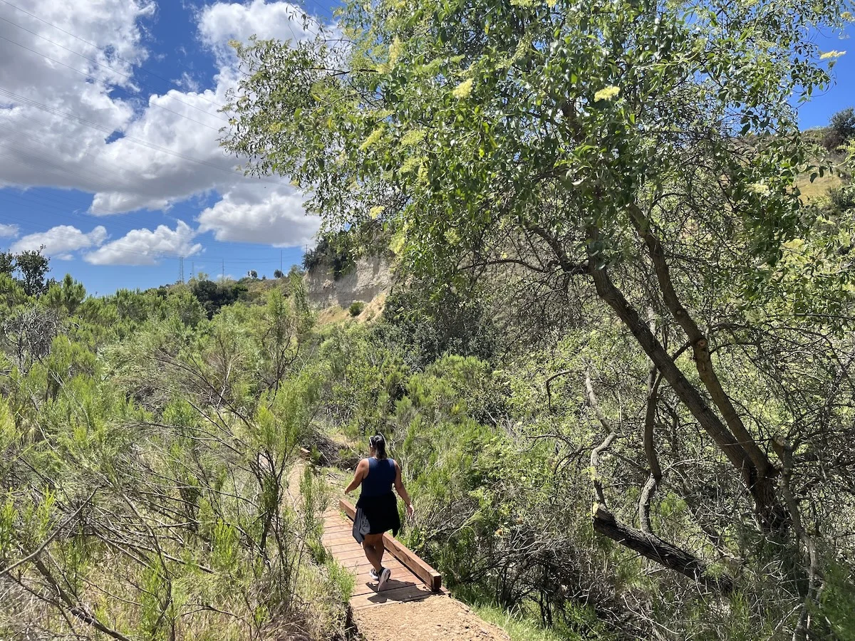 Ruffin canyon footbridge