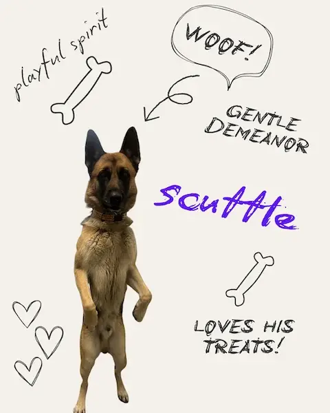Scuttle the Dog