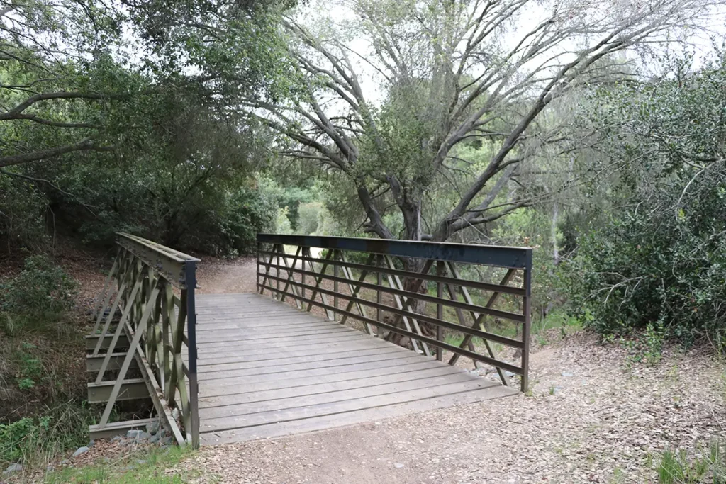 Tecolote bridge2